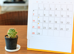 治療計画の案内と次回予約